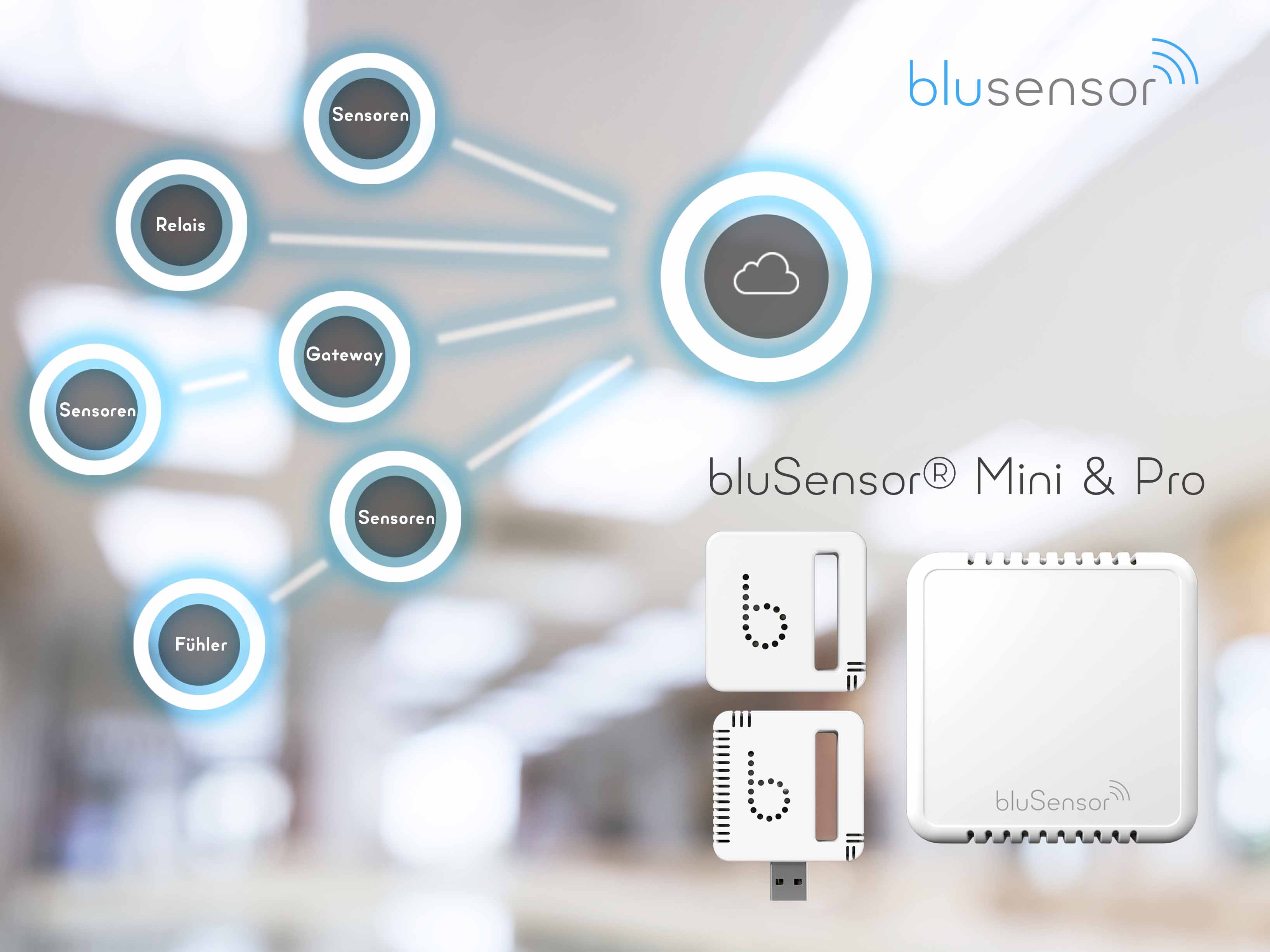 bluSensor Überblick Produkte